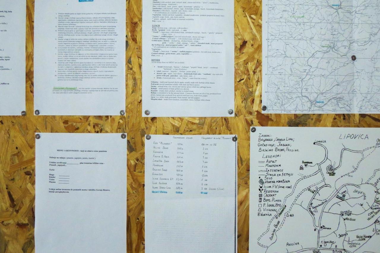 Affittacamere Eco Farm Milanovic Despotovac Esterno foto
