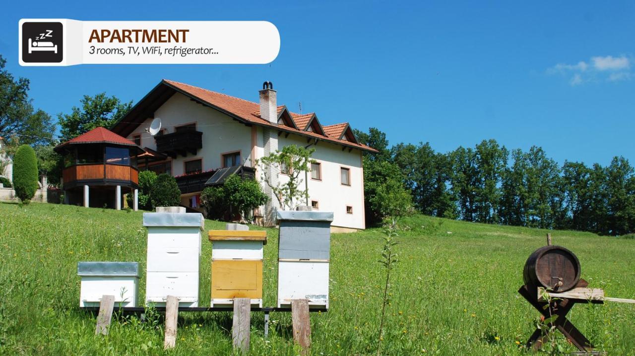Affittacamere Eco Farm Milanovic Despotovac Esterno foto