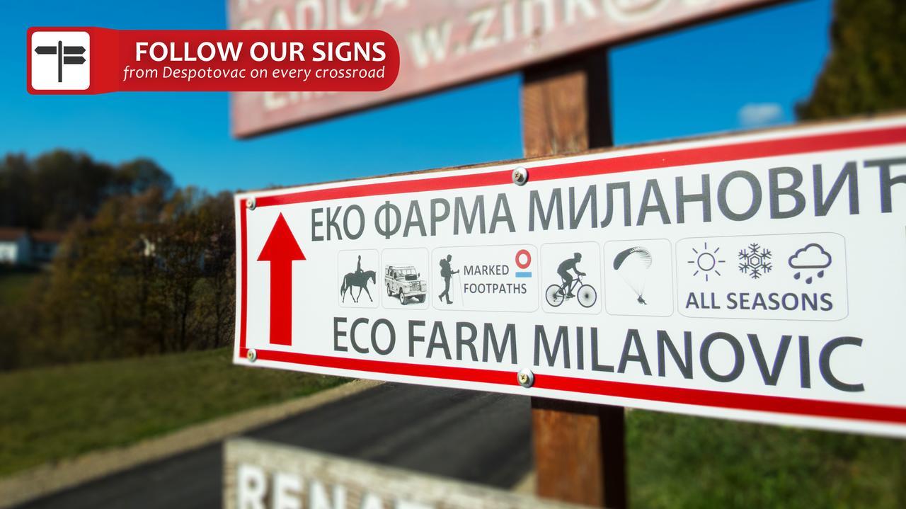 Affittacamere Eco Farm Milanovic Despotovac Esterno foto