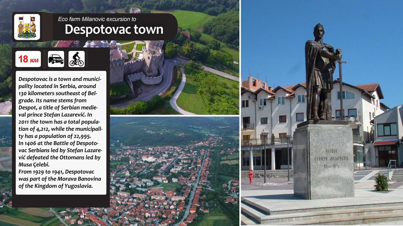 Affittacamere Eco Farm Milanovic Despotovac Esterno foto