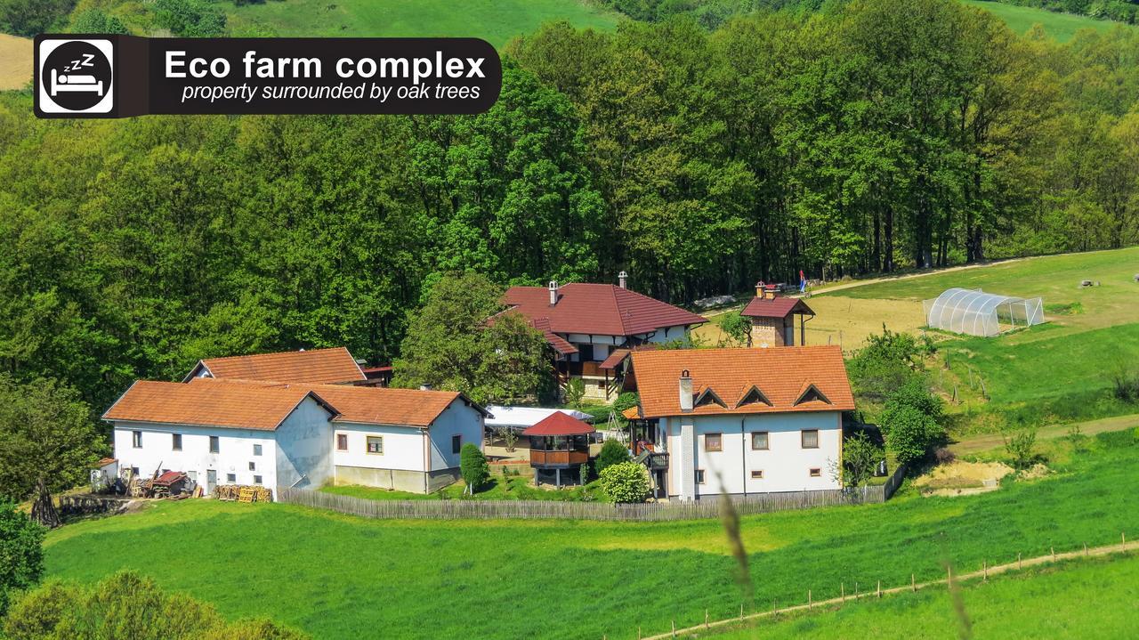 Affittacamere Eco Farm Milanovic Despotovac Esterno foto