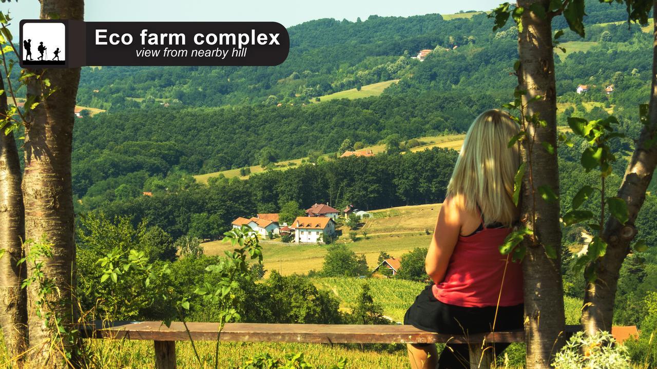 Affittacamere Eco Farm Milanovic Despotovac Esterno foto