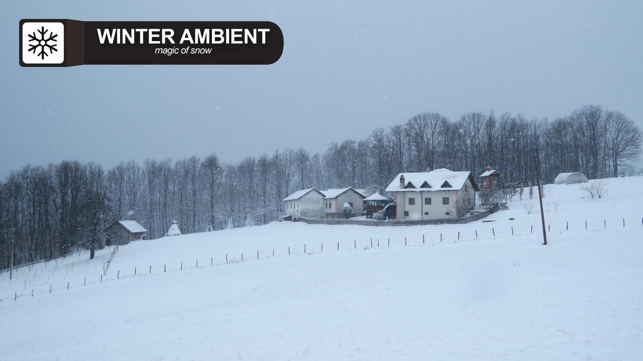 Affittacamere Eco Farm Milanovic Despotovac Esterno foto