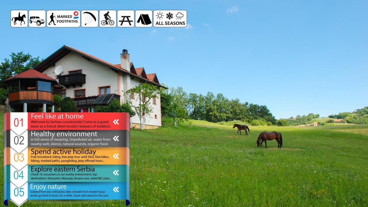 Affittacamere Eco Farm Milanovic Despotovac Esterno foto